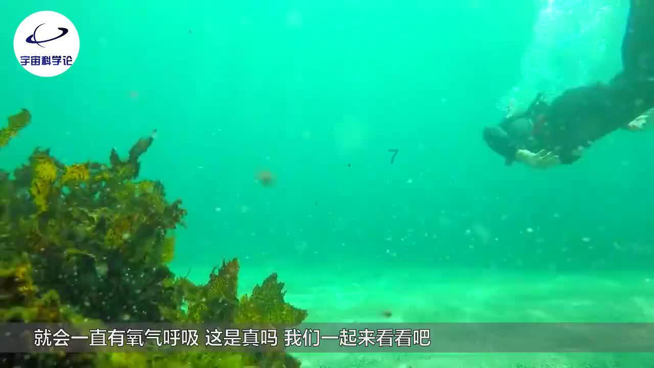 逃离违建房屋8